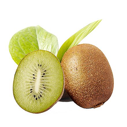 开云体育注册官网登录入口产品中心六